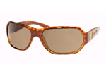 TortoiseBrown